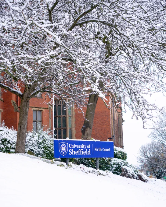 Firth Court with University of Sheffield sign in the snow
