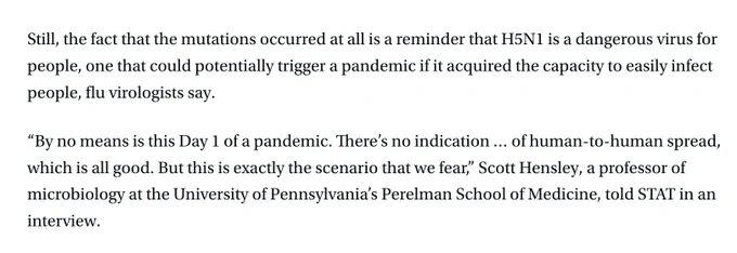 An excerpt from the story reads "Still, the fact that the mutations occurred at all is a reminder that H5N1 is a dangerous virus for people, one that could potentially trigger a pandemic if it acquired the capacity to easily infect people, flu virologists say.

“By no means is this Day 1 of a pandemic. There’s no indication … of human-to-human spread, which is all good. But this is exactly the scenario that we fear,” Scott Hensley, a professor of microbiology at the University of Pennsylvania’s Perelman School of Medicine, told STAT in an interview."