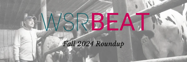 Header of the WSR Network's newsletter with the date "Fall 2024 Roundup" written over a picture of a man working in a dairy barn with his arm up on a rail half looking at the camera. A group of cows crowd him out in the foreground and it really underscores visually just how big cows are compared to workers.