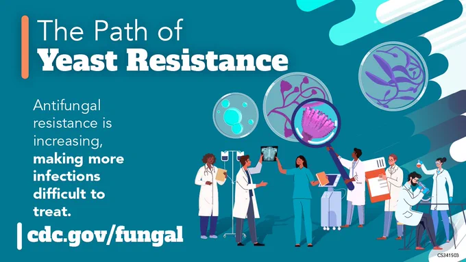 A quote graphic displaying healthcare professionals looking at patient charts, reviewing chest scans, magnifying spores and holding antifungal medications. Text reads, “The path of Yeast Resistance: Antifungal resistance is increasing making more infections difficult to treat.”  