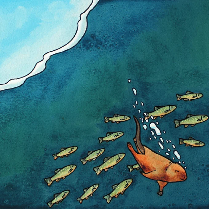A watercolour illustration from Kuekuatsheu Creates the World. A muskrat swims through a school of fish. This eyes are closed and he looks peaceful.