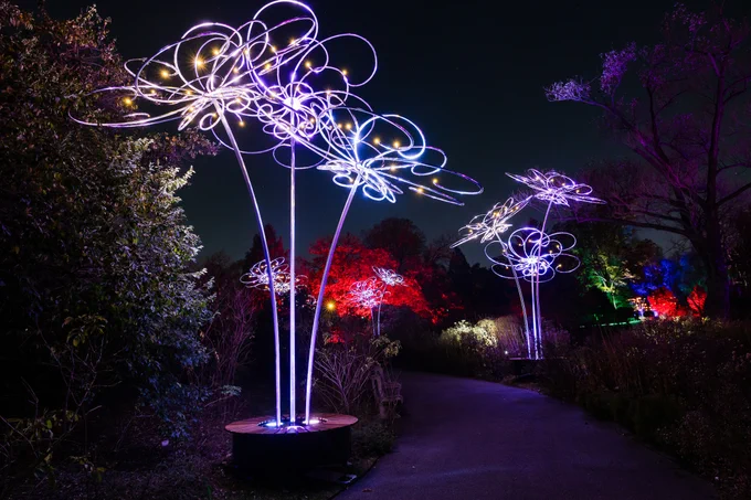 Several metal sculptures shaped like flowers stand on either side of a path through an outdoor setting at night. In the distance, trees are lit from below.