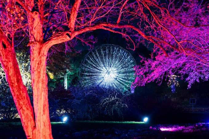 A large circular orb of lights shines at night, framed by trees lit up by red and pink lights.