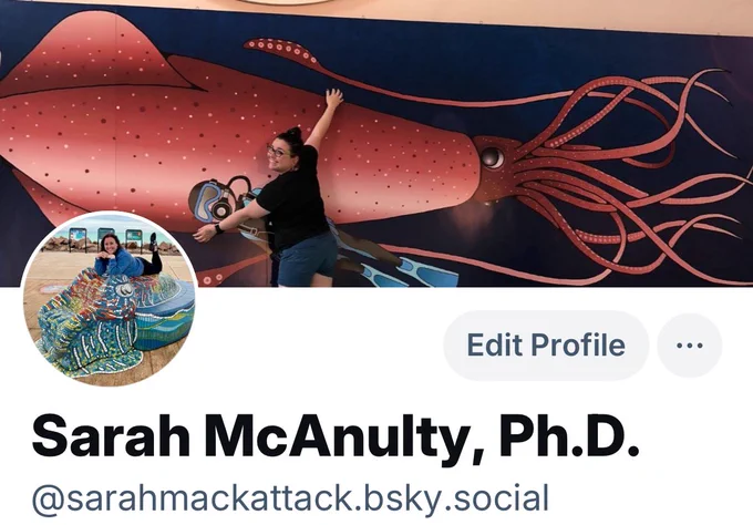 Sarah’s profile on Bluesky screenshot sarahmackattack.bsky.social