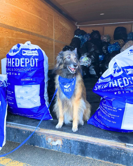 Using Skip the Depot to pick up bottles and selecting PALS as your charity of choice. 