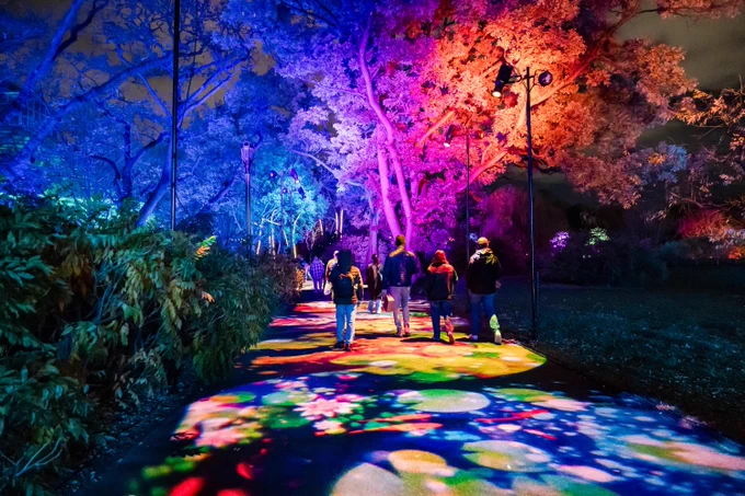A group of people in winter wear walk on a path in a garden environment. The path is lit up with bright multicolored lights in botanical patterns, while the trees are illuminated from below.