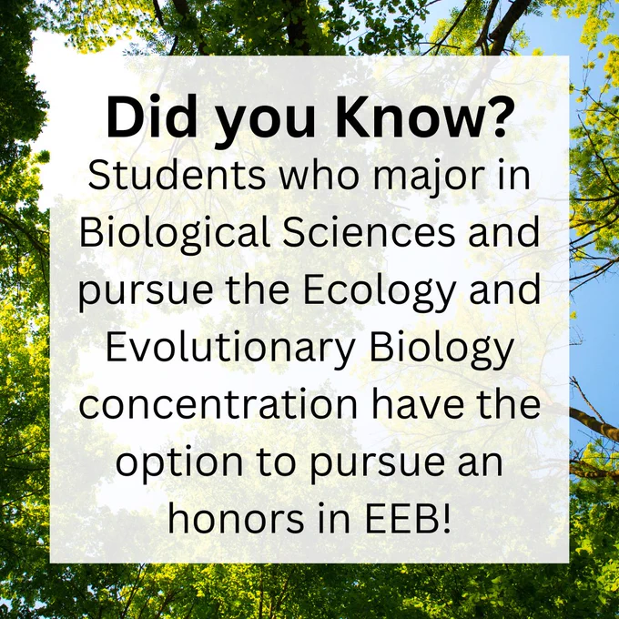 Image Text: “Did you Know? Students who major in Biological Sciences and pursue the Ecology and Evolutionary Biology concentration have the option to pursue an honors in EEB.”