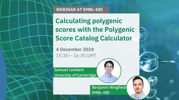 Graphics image showing webinar at EMBL-EBI about Calculating polygenic scores with the Polygenic Score Catalog Calculator. The webinar will run on 04 December 2024 at 15:30 GMT. The speakers are Samuel Lambert and Benjamin Wingfield. Image credit: Louise Walker, EMBL-EBI
