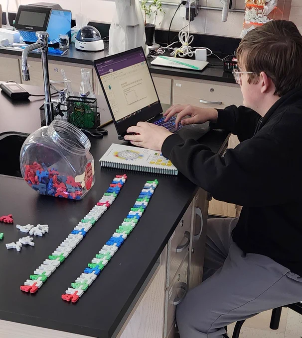 Student examining models of mRNA