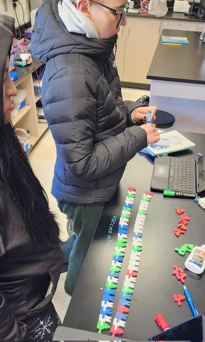 Students examining models of mRNA