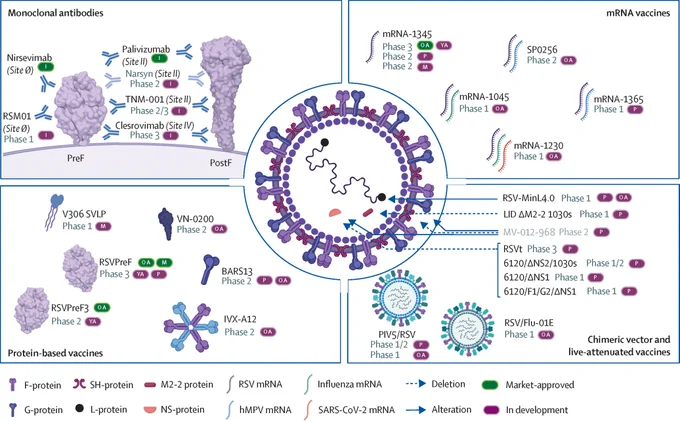 Overview of RSV vaccine candidates by preventive approach. Copyright: Elsevier Ltd. All rights are reserved, including those for text and data mining, AI training, and similar technologies.