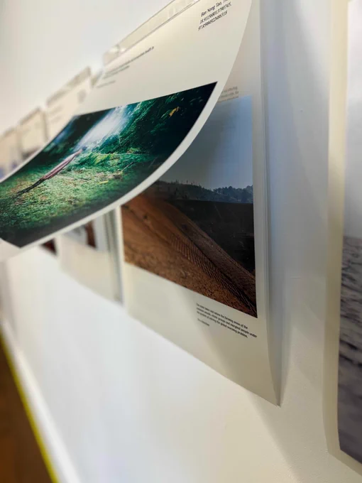 📷: Process and installation images as we prepare for the residency celebration. © Photo Invisible Flock