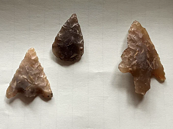 A photo of three flint arrowheads - two brown barbed-and-tanged and one grey leaf-shaped.