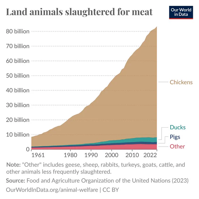 Land animals slaughtered for meat. Our World In Data