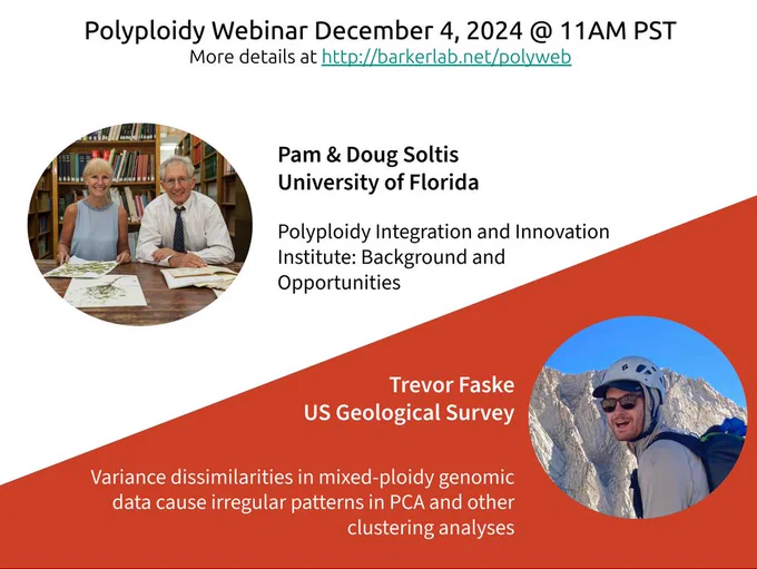 A flyer for the December 4, 2024, Polyploidy Webinar that will be at 11 AM PST on zoom. This month features Pam & Doug Soltis from the University of Florida presenting details on their new Polyploidy Integration and Innovation Institute and Trevor Faske from the US Geological Survey presenting Variance dissimilarities in mixed-ploidy genomic data cause irregular patterns in PCA and other clustering analyses. Sign up for the zoom link at https://www.barkerlab.net/polyweb 