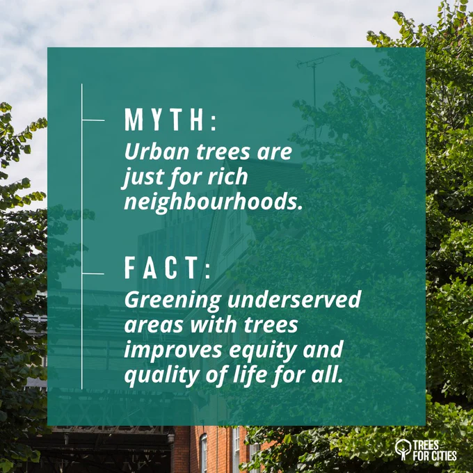 Myth: Urban trees are just for rich neighbourhoods.

Fact: Greening underserved areas with trees improves equity and quality of life for all.