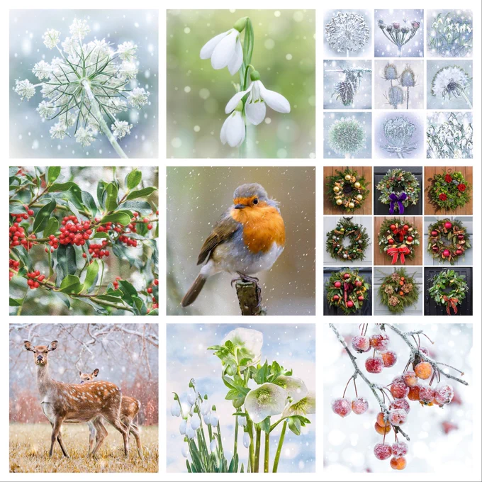 A collage of nine square Christmas images including frosted flowers, snowdrops, holly, robin, wreaths, deer and fawn, Christmas roses and crab apples.