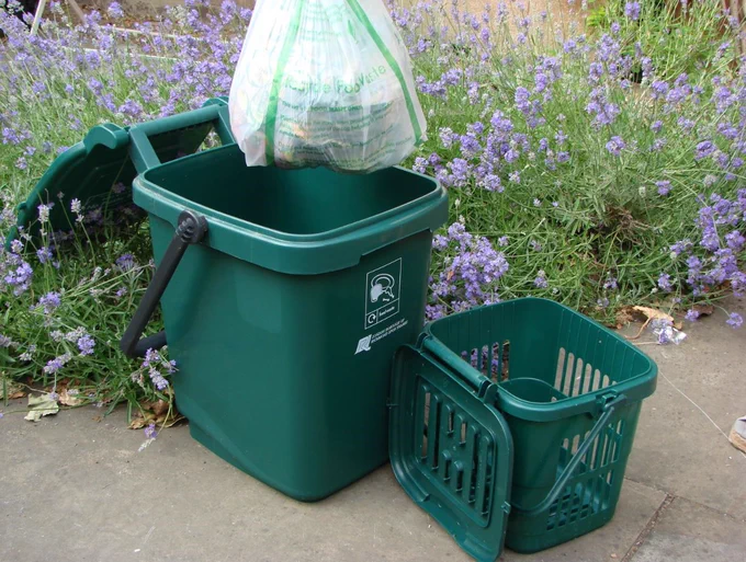 A food recycling caddy with a bag of food waste being placed into it in front of someone's garden lavender