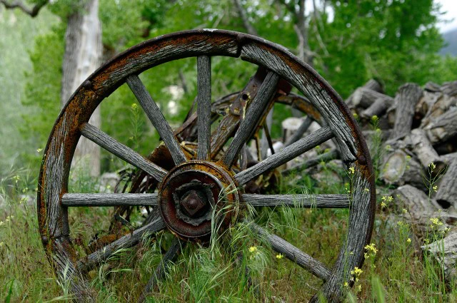 Old wooden wagon wheel lying in a lush, grassy field with trees and a stone wall in the background.