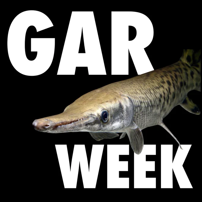 A gar is seen through the words Gar and Week