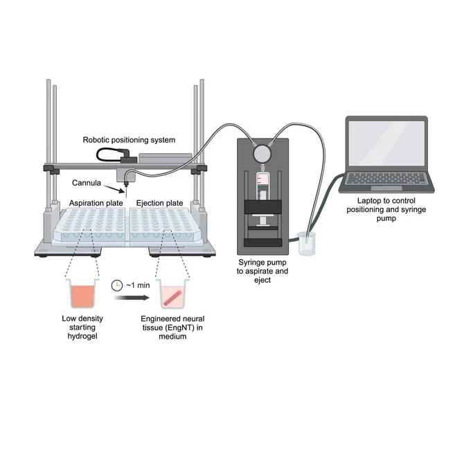 Equipment set-up for automated gel aspiration and ejection