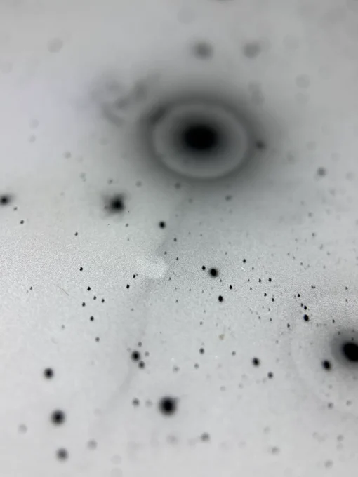 A negative image of the horsehead nebula with black dots of bright stars around it.
