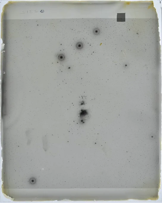 A glass plate nebula showing three black dots with hallow rings about them created by the three bright stars of Orion’s Belt and a Smokey black cloud in the center being the Orion Nebula. Faintly you can just see the shadow of the horsehead nebula just below the left brightest star. The rest of the plate has black stars scattered like sand across the glass.