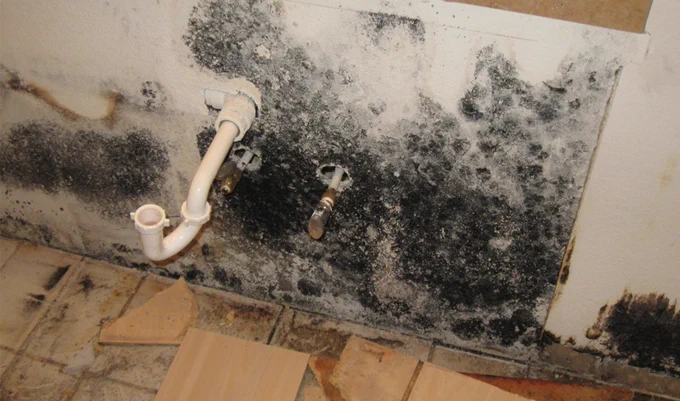 mould damage tip