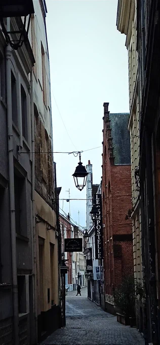 Ruelle étroite et pavée, typique du vieux Lille. Les bâtiments de chaque côté témoignent d'une architecture ancienne, avec des façades de briques rouges et des enseignes suspendues, telles que "Le Compostelle", qui ajoutent une touche d'authenticité à l'atmosphère. Un lampadaire suspendu au centre de l'image accentue le charme rustique de la scène. Au loin, un passant surgit de la rue transversale.

