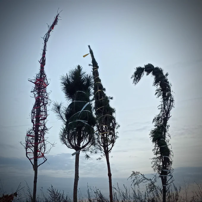 Cette image montre quatre jeunes arbres aux formes singulières, leurs branches étant fortement pliées et contraintes par des liens en plastique, probablement pour faciliter leur transport ou stockage avant leur plantation. Les troncs des arbres sont droits, mais les cimes forment des courbes et des torsions inhabituelles, donnant l'impression de mouvements presque sculpturaux. L’arbre de gauche est particulièrement entortillé dans un filet rouge vif qui contraste avec le ciel grisâtre en arrière-plan, créant un effet visuel captivant. Les arbres semblent isolés, plantés temporairement dans des pots invisibles ici, au milieu d'une végétation basse et d'un horizon brumeux.