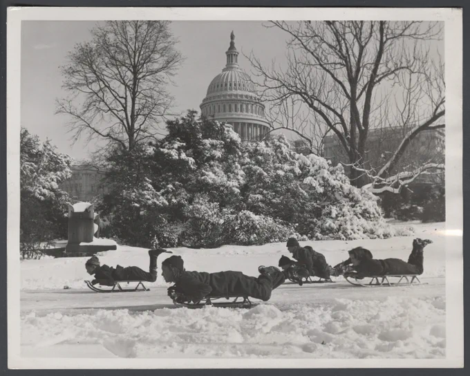 four sledders with the Capitol in the background
