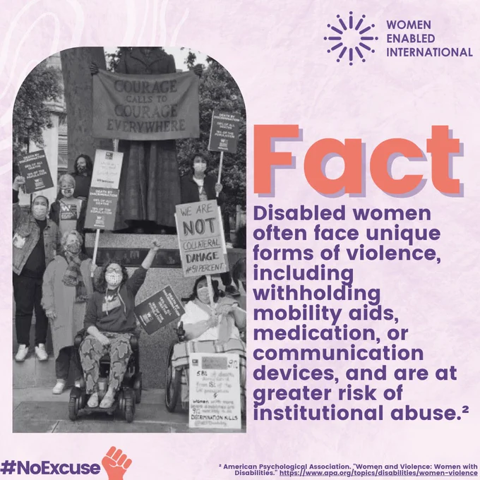 Against a purple is an arch shaped image of women with disabilities protesting for disabled rights. To the right of that is the following text "Fact. Disabled women often face unique forms of violence, including withholding mobility aids, medication, or communication devices, and are at greater risk of institutional abuse".