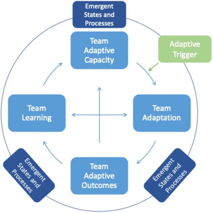 The Team Adaptive Cycle (Sanford et al., 2024)