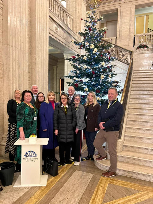 Photo of NICVA CEO Celine McStravick standing with 9 VCS representatives beside a Christmas tree inside Stormont buildings.