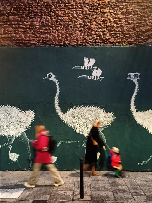 Sur un mur de pierres marron, grande fresque murale sur fond vert représentant 3 grandes autruches blanches accompagnées de bébés autruches. Deux oiseaux ressemblant à des Toucans volent au-dessus. Sur le trottoir, à droite une dame blonde vêtue de noir et bottes marron, pousse un tricycle avec un enfant habillé de rouge. Sur la gauche, une femme en baskets avec un manteau rouge, un pantalon clair et un sac à dos noir marche dans le l'autre sens. 