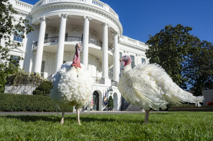 Peach and Blossom are pictured on the South Lawn of the White House.