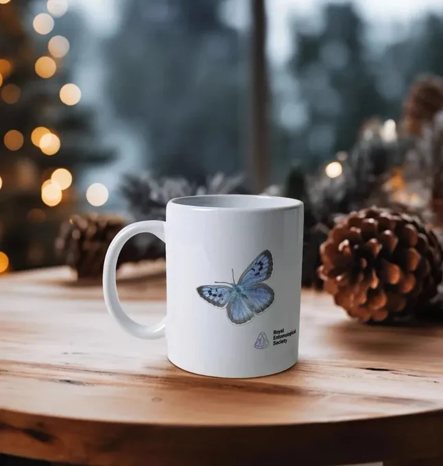 RES Large blue butterfly mug on a table surrounded by festive items