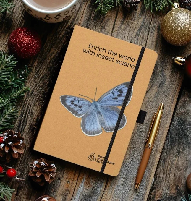 RES Large Blue butterfly notebook on a table surrounded by festive items