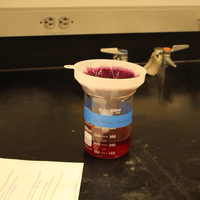 Beaker in lab filled with red pigment