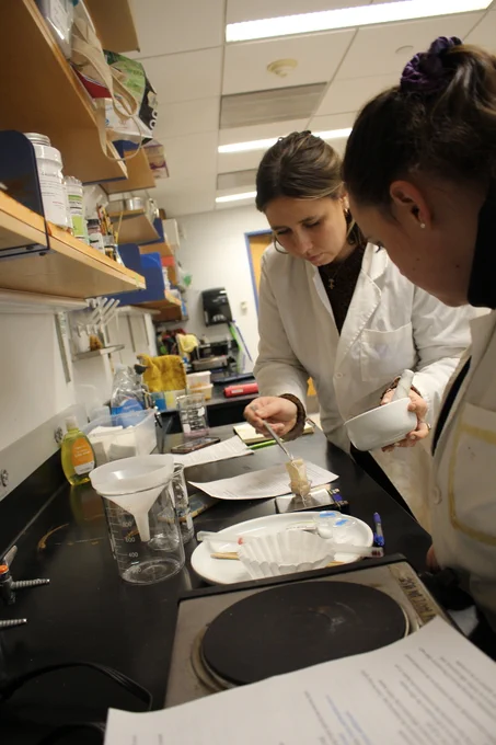 students working in lab. 