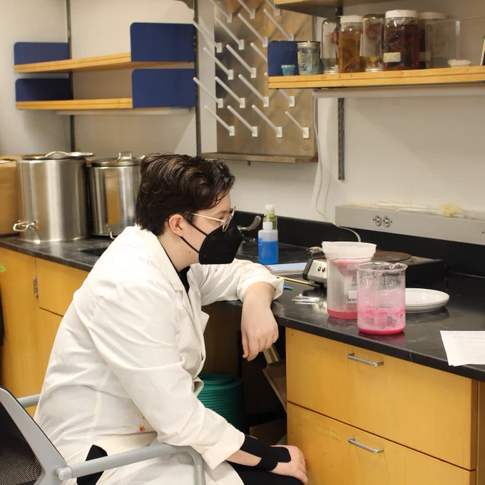 Student working in lab