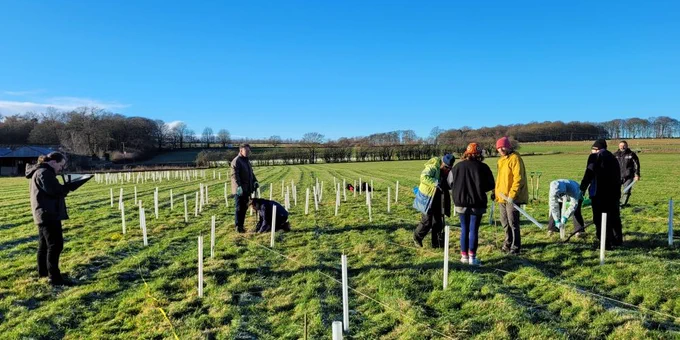 People plant trees in West Yorkshire.