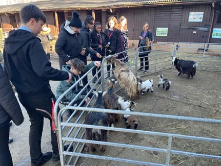 Students stood around the outside of a pen, inside are goats of different colours and some kid goats, some of the goats are being fed through the fencing.