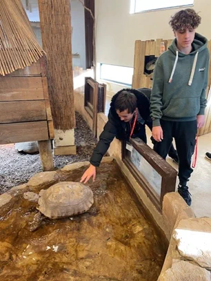 Two students stood next to a giant tortoise in its enclosure, one is touching the tortoise on its shell.