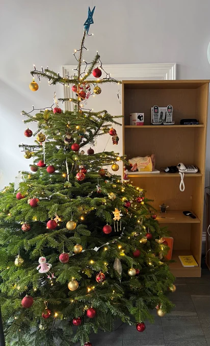 VisionPK's christmas tree in daylight
