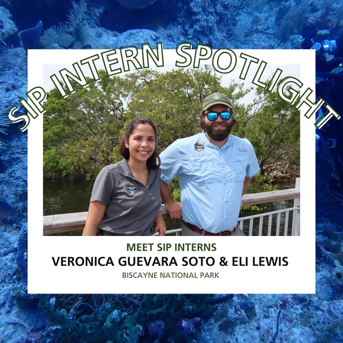 There is a photo of SIP interns Veronica and Eli in front of mangroves. They are leaning on a railing and smiling at the camera. Around the photo, there is a while border that says "Meet SIP Interns Veronica Guevara Soto & Eli Lewis: Biscayne National Park". Behind the white border is a photo of an underwater reef.