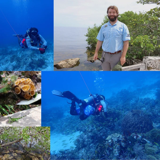 Collage of 6 photos. In the top left and bottom right, Eli is scuba diving a few feet above a coral reef. In the top right, Eli is smiling at the camera as he stands on the shoreline in front of mangroves. In the bottom right, there are photos of coral in an aquarium tank, a green iguana on the sidewalk, and mangroves emerging from the water.