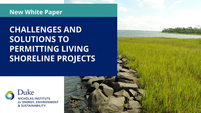 Photo of a living shoreline. Text: "New White Paper. Challenges and Solutions to Permitting Living Shoreline Projects." Logo for Nicholas Institute for Energy, Environment & Sustainability.