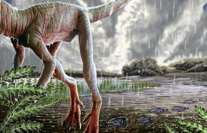 A bipedal dinosaur running across the mud in the pouring rain, leaving footprints behind in the dirt.