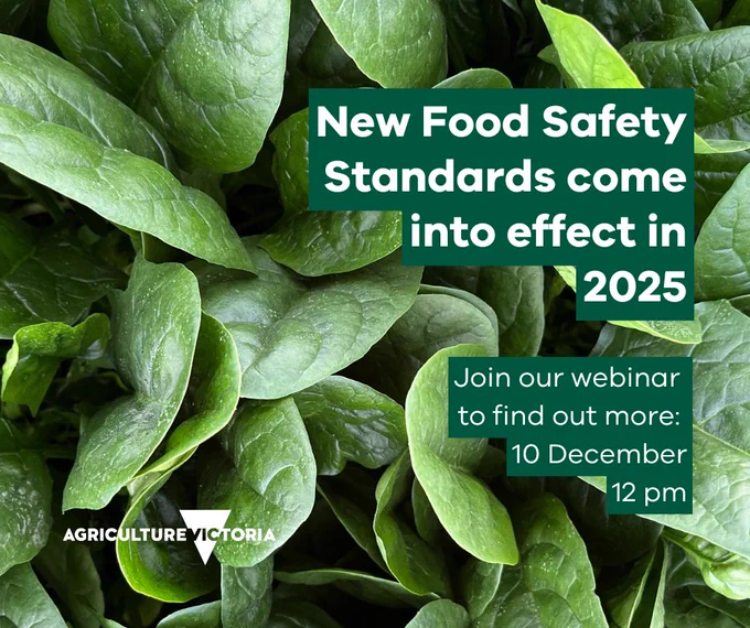 A close up image of spinach. The text reads: new food safety standards come into effect in 2025. Join our webinar to find out more: 10 December 12 pm